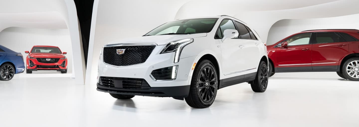 Cadillac XT5 SUV showcased in a sleek, modern exhibition space alongside other Cadillac models. The white XT5 features a distinctive black grille and black wheels, highlighting its luxury design.